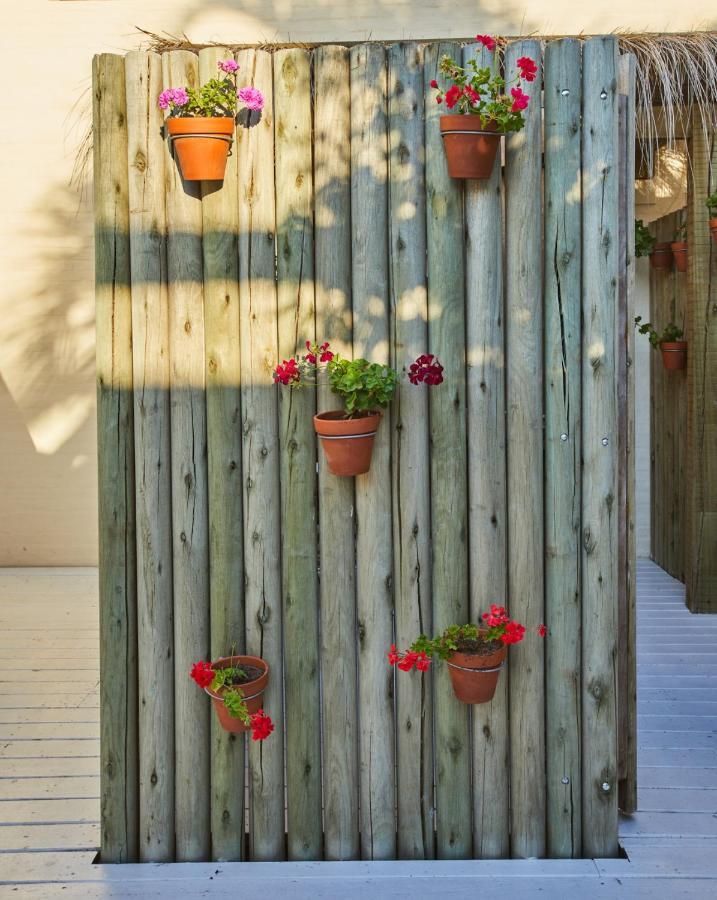Posada Tamarindo โคเซ อิกนาซิโอ ภายนอก รูปภาพ